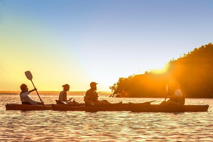 Paddle the Mangroves: Kayak Adventure in Laguna Nichupté, Cancún
