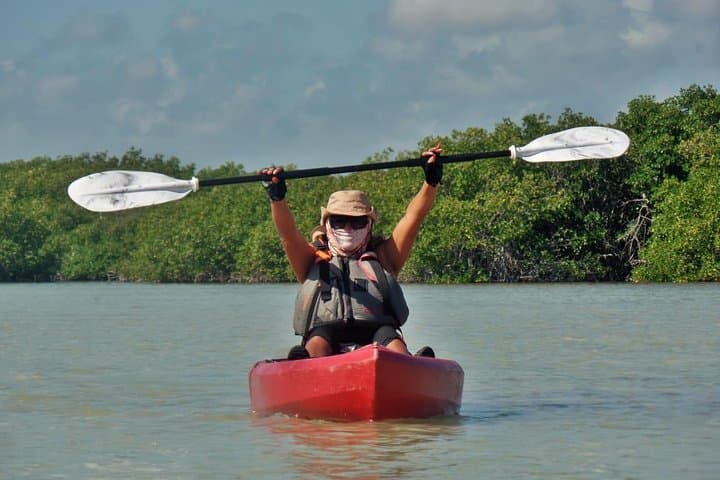 Paddle the Mangroves: Kayak Adventure in Laguna Nichupté, Cancún photo 3
