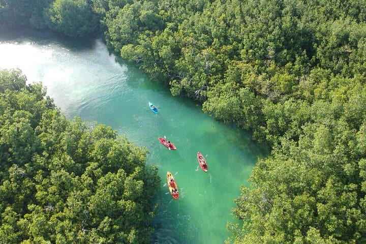 Paddle the Mangroves: Kayak Adventure in Laguna Nichupté, Cancún photo 4