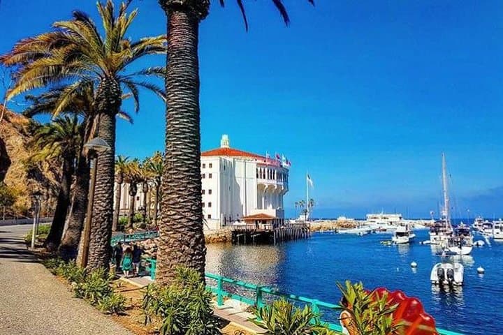 Catalina Casino VIP Backstage Tour — Avalon Theatre & Art Deco Backstage Visit photo 3