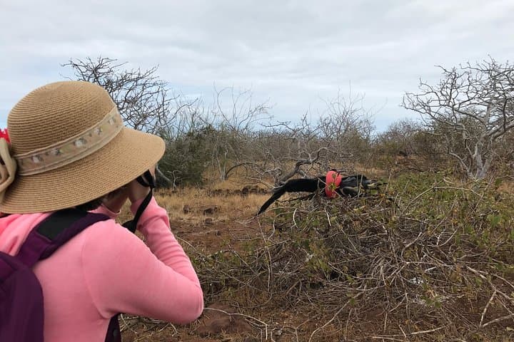 Ecuador Nature and Galapagos: 18-Day Andes-to-Amazon Wildlife Adventure photo 3