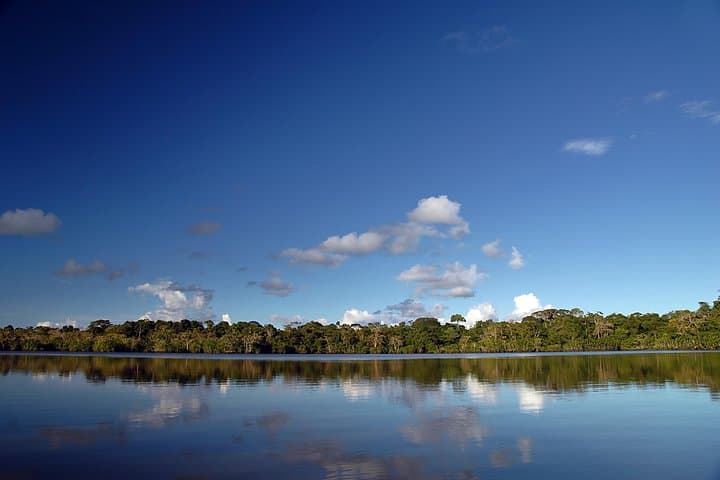 Ecuador Nature and Galapagos: 18-Day Andes-to-Amazon Wildlife Adventure photo 4