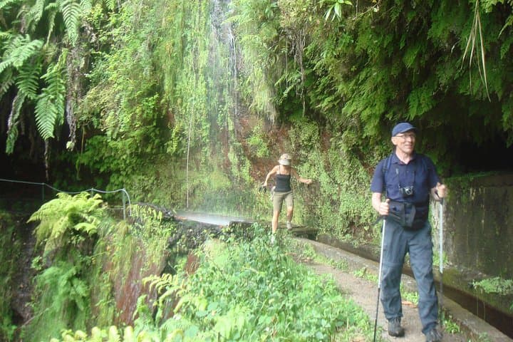 Kings Levada Walk São Jorge — Levada Trails, Tunnels & Native Forest in Santana, Madeira photo 2
