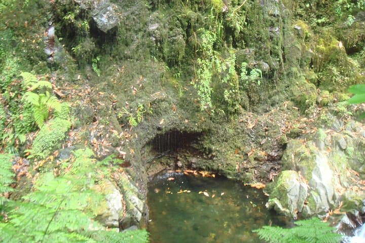 Kings Levada Walk São Jorge — Levada Trails, Tunnels & Native Forest in Santana, Madeira photo 6