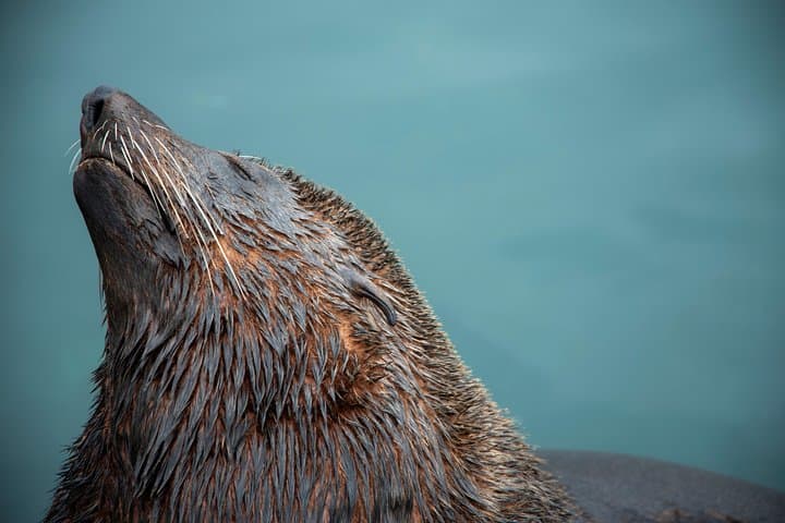 Peninsula Photography Tour — Cape Town Coastal Photography Workshop photo 6