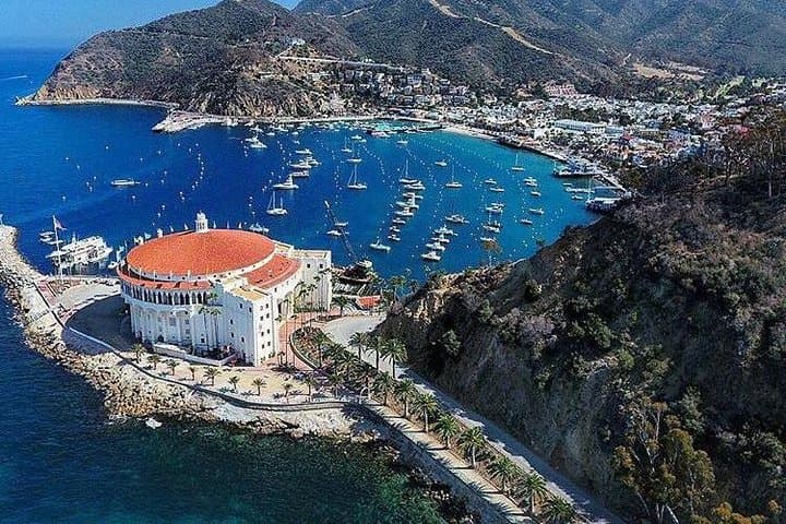 Discover Avalon — 50-Min Catalina Scenic Tour Along Avalon Harbor & Hillsides photo 3