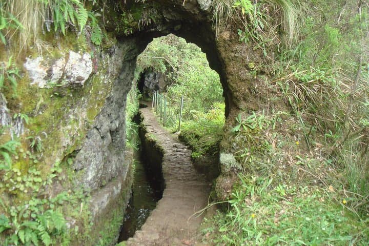 Laurissilva Forest Walk: Ribeiro Frio to Portela Levada Hike in Madeira photo 4