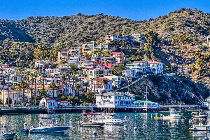 Discover Avalon — 50-Min Catalina Scenic Tour Along Avalon Harbor & Hillsides