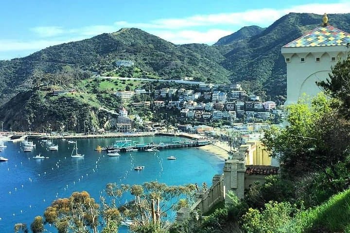 Discover Avalon — 50-Min Catalina Scenic Tour Along Avalon Harbor & Hillsides photo 4