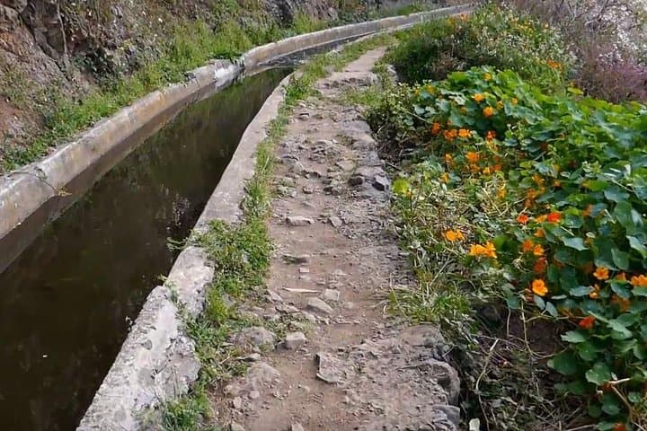 Levada do Norte: Quinta Grande Easy Levada Walk on Madeira photo 4