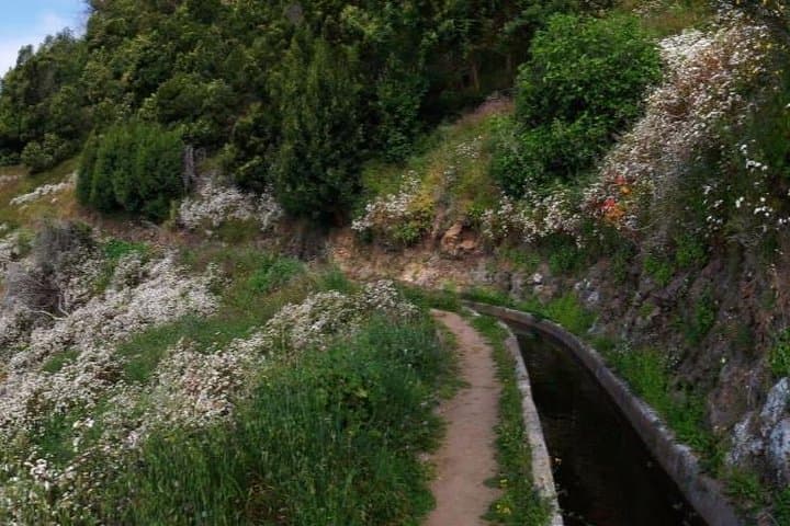 Levada do Norte: Quinta Grande Easy Levada Walk on Madeira photo 5