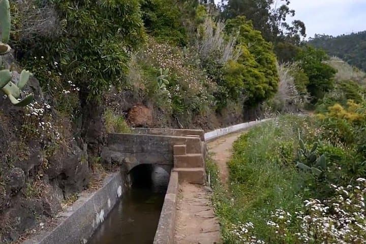 Levada do Norte: Quinta Grande Easy Levada Walk on Madeira photo 6