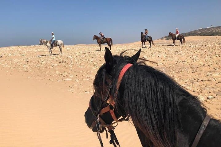 Essaouira Coast Horseback Ride: 5-Hour Beach, Dunes & Picnic Adventure photo 2