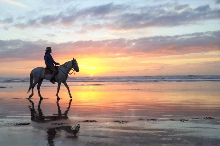 Sunset Horseback Ride in Essaouira — 2-Hour Beach & Dunes Experience