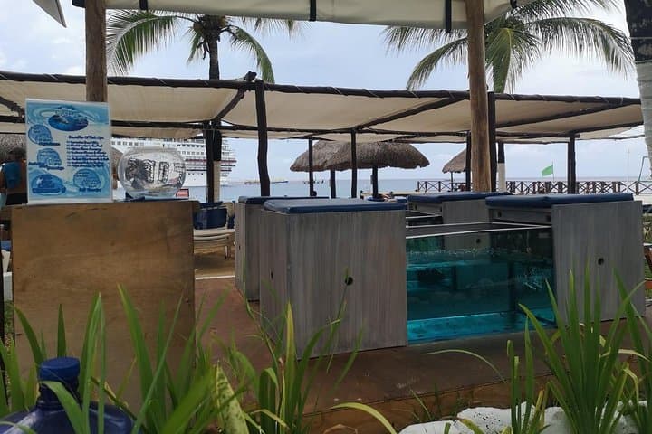 Cozumel Fish Spa & Beach Club Day Pass — Relaxation, Reef Views & Shoreline Comfort photo 2