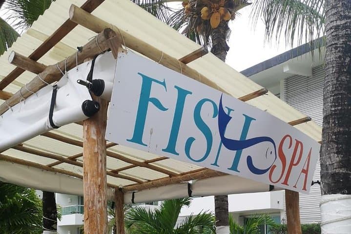 Cozumel Fish Spa & Beach Club Day Pass — Relaxation, Reef Views & Shoreline Comfort photo 4