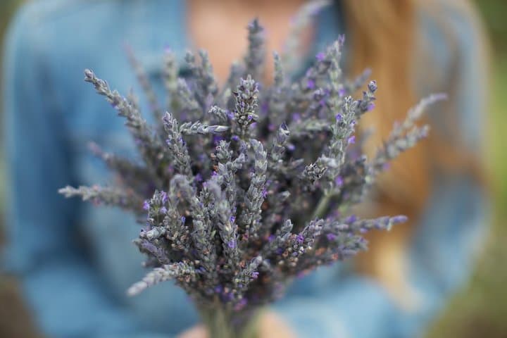 Iao Valley, Ocean Vodka & Aliʻi Kula Lavender Tour — Maui 5‑Hour Cultural Drive