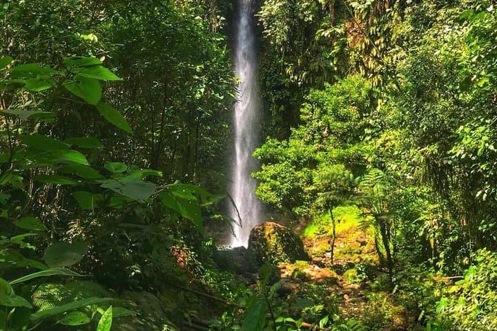 Day Trip to Puyo Amazon from Baños: Waterfalls, Canoes & Cacao photo 3