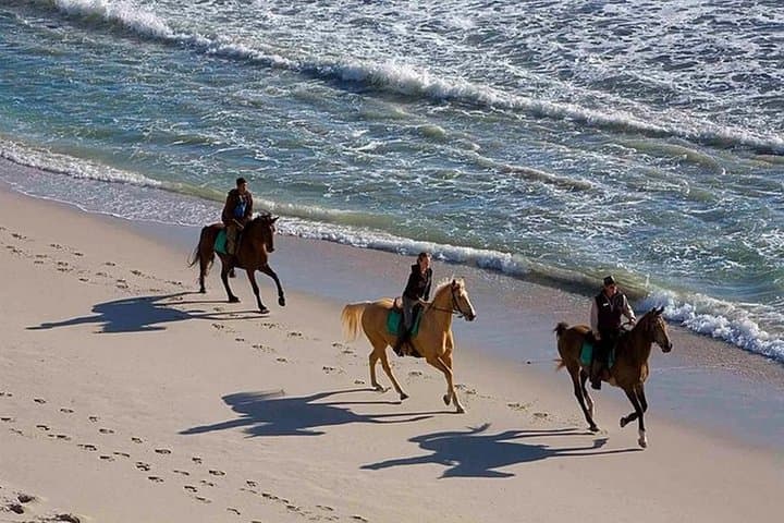 Sunset Beach Horseback Ride in Puerto Plata — Gallop into Caribbean Dusk photo 2