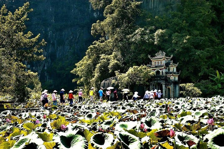 Ninh Binh Day Tour: Tam Coc Gondolas, Bich Dong Biking & Hoa Lu Temples photo 2