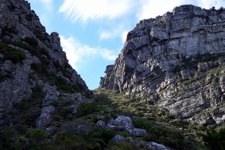 Hike Table Mountain via Kasteelspoort: Morning Route, Views & Fynbos photo 3