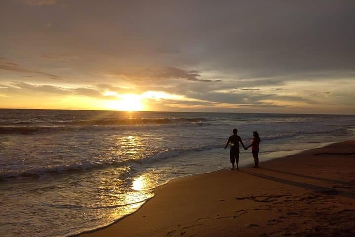 8-Day Sri Lanka Private Tour: Culture, Hill Country & Wildlife Highlights