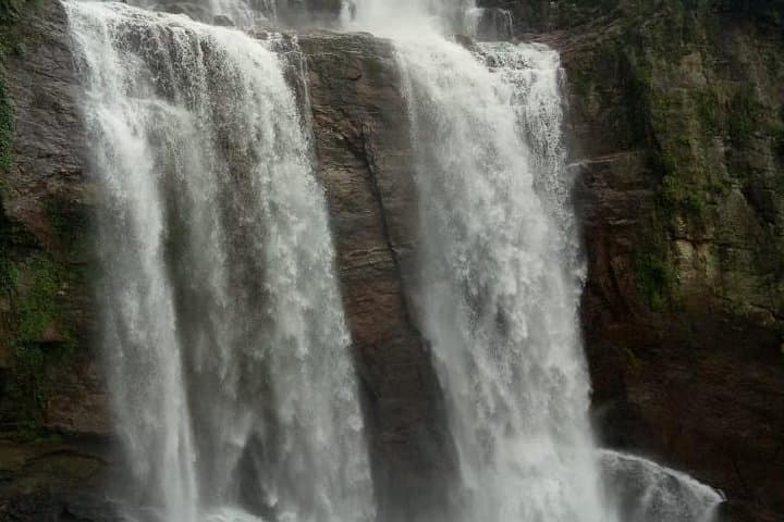 8-Day Sri Lanka Private Tour: Culture, Hill Country & Wildlife Highlights photo 5