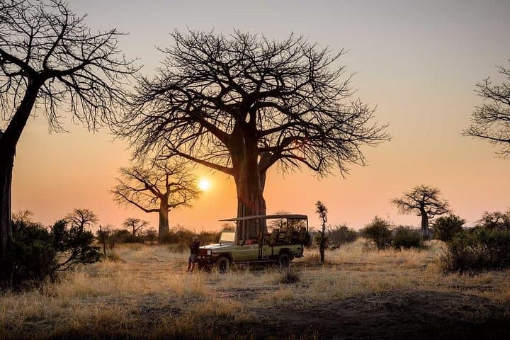 7-Day Southern Circuit Safari: Ruaha, Kitulo & Matema Beach Adventure