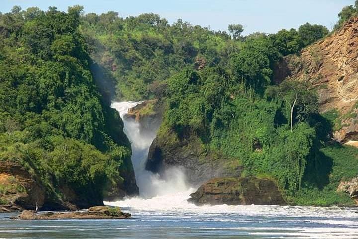 Three-Day Murchison Falls Safari: Falls, Game Drives & Nile Boat Cruise photo 4