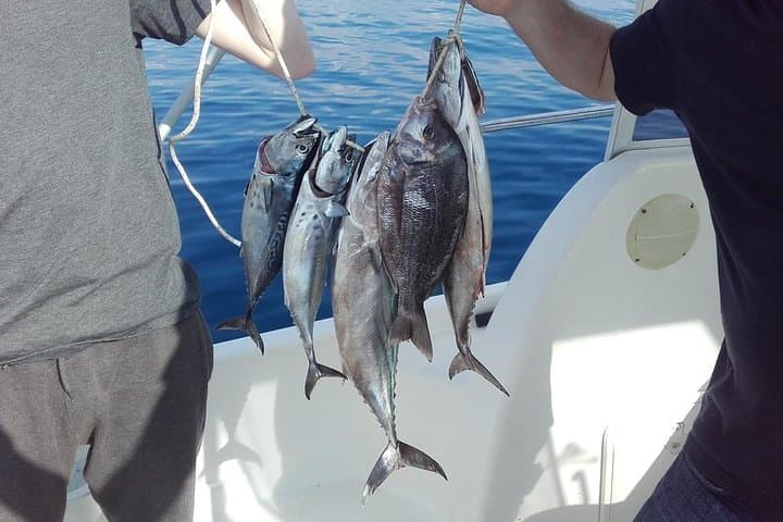 Private Fishing Tour from Dubrovnik: Half-Day Boat Charter with Local Captain photo 3