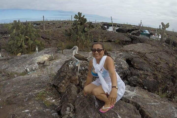 7-Day Galápagos Nature Tour — Santa Cruz & Isabela: Snorkel, Hike & Wildlife photo 2