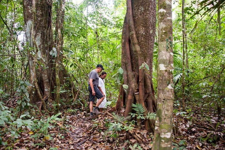 Bonampak Murals & Lacandon Jungle Hike from Palenque: Day Trip to Lacanja Waterfalls photo 5