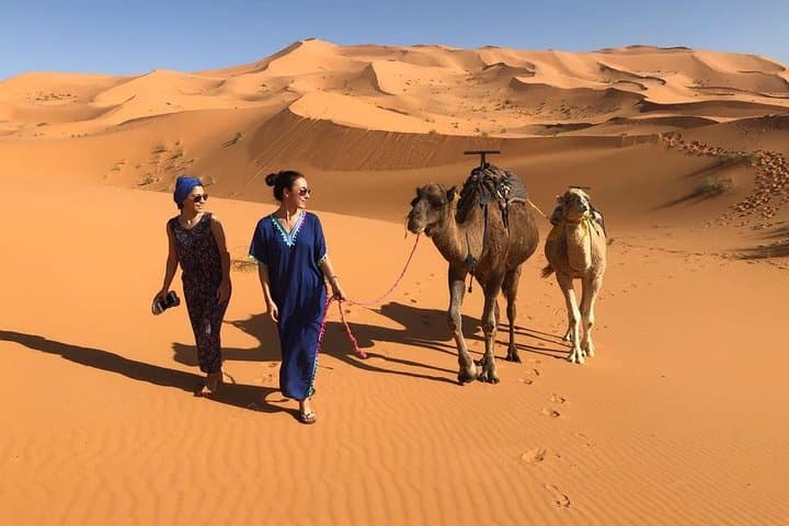Fez to Marrakech 3-Day Private Desert Tour — Erg Chebbi, Todra & Ait Benhaddou photo 4