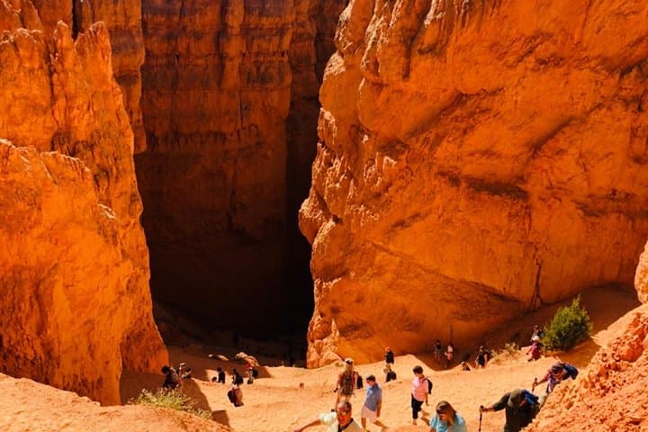 Exploring Bryce Canyon & Zion: A Full-Day Adventure from Las Vegas photo 6
