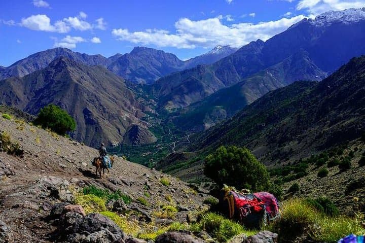 Atlas Mountains Day Trip from Marrakech — Imlil Valley, Camel Ride & Berber Lunch photo 4