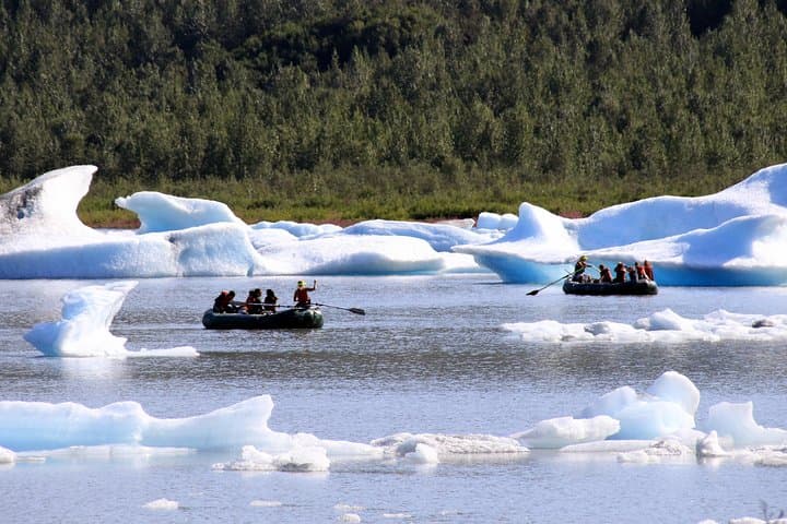Bears, Trains & Icebergs Tour — Glacier Discovery Train, Spencer Iceberg Float & Alaska Wildlife photo 2