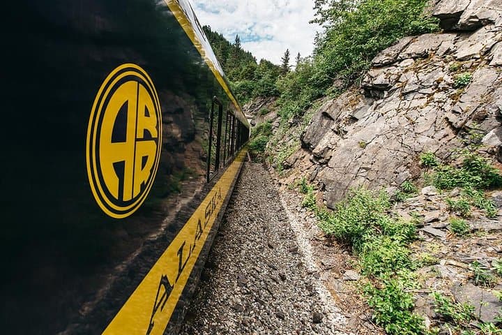 Bears, Trains & Icebergs Tour — Glacier Discovery Train, Spencer Iceberg Float & Alaska Wildlife photo 5