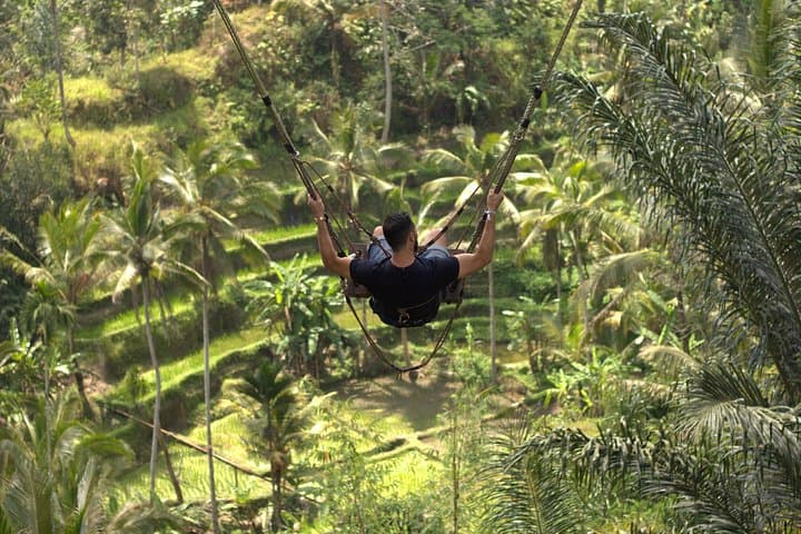 Private Bali Volcano and Jungle Swing Day Tour from Ubud photo 4