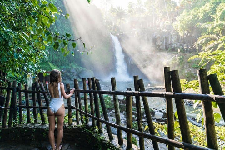Full-Day Private Ubud Highlights Tour: Monkey Forest, Tegalalang & Temples