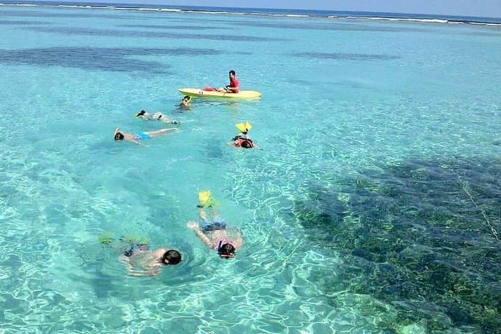 Parasail Over West Bay and Snorkel Roatán's Reefs: A West Bay Combo photo 5