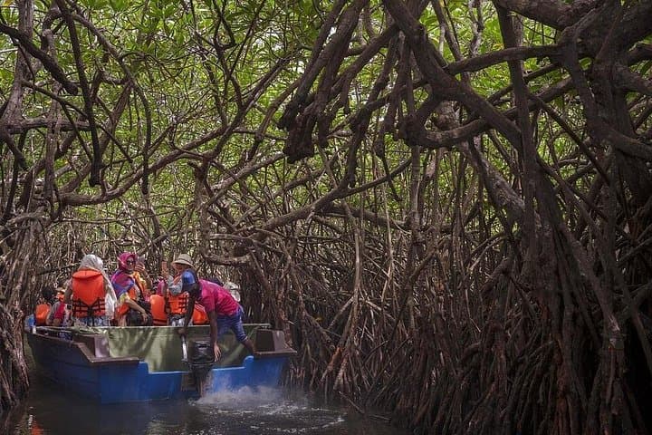 Bentota, Madu River & Galle Day Tour from Colombo: Beaches, Mangroves & Fort photo 2
