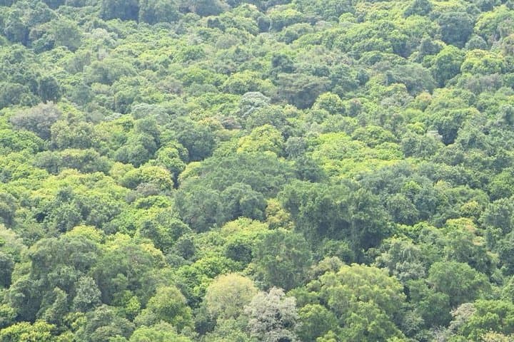 Bridge of God: 5-Day Nechisar National Park Wilderness Trek photo 5
