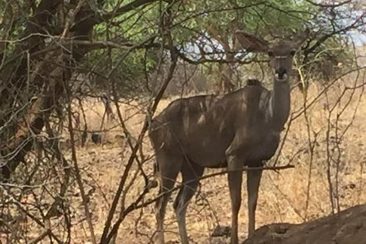 Bridge of God: 5-Day Nechisar National Park Wilderness Trek photo 6