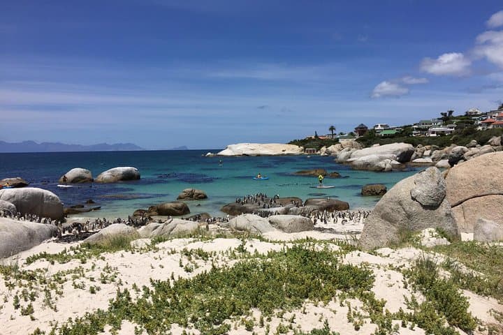 Ride the Cape Peninsula: Full-Day Royal Enfield Motorcycle Tour from Cape Town photo 6
