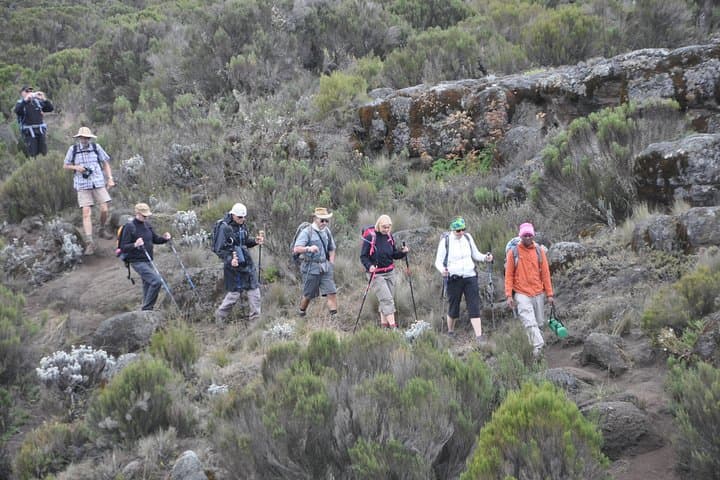 9-Day Mount Kilimanjaro Machame Route: Summit Uhuru Peak from Moshi photo 4
