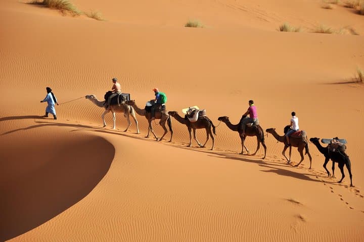 Fes to Merzouga: 4-Day Desert Tour through Erg Chebbi, Todra & Ait Benhaddou photo 2