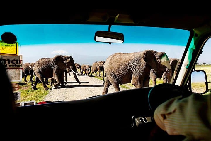 2-Day Amboseli Safari: Elephants, Kilimanjaro & Afternoon Game Drives from Nairobi photo 1