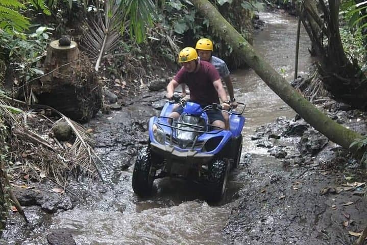 Ubud ATV & Ubud Swing — Payangan Quad Ride with Rice Terrace Views photo 3