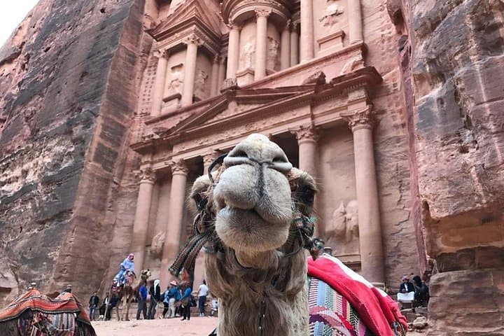 8-Day Jordan Adventure from Aqaba: Wadi Rum, Petra, Dead Sea & Jerash