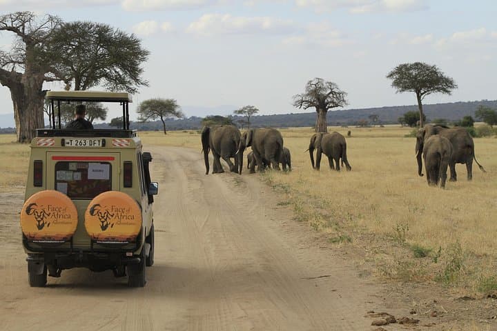 8-Day Private Lodge Safari: Tarangire, Serengeti & Ngorongoro photo 1